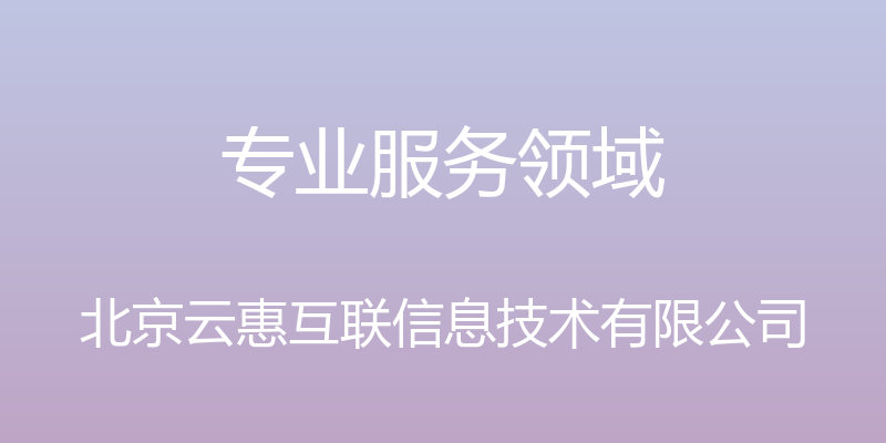 专业服务领域 - 北京云惠互联信息技术有限公司